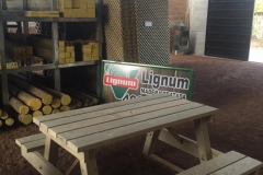 WhatsApp Image 2019-02-20 at 5.49.15 PM