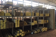 WhatsApp Image 2019-02-20 at 5.51.44 PM (1)