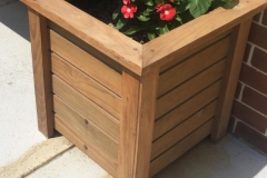 WhatsApp Image 2019-02-20 at 5.48.54 PM