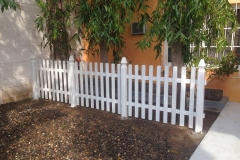 WhatsApp Image 2019-02-20 at 5.49.15 PM (2)