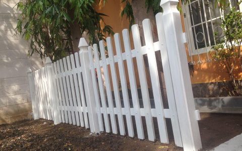 WhatsApp Image 2019-02-20 at 5.49.14 PM (1)